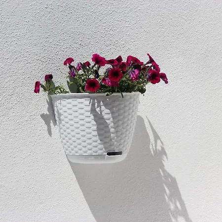 Casa Berenice 올비아