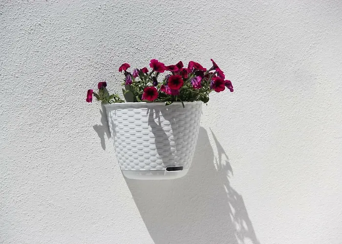 Casa Berenice オルビア